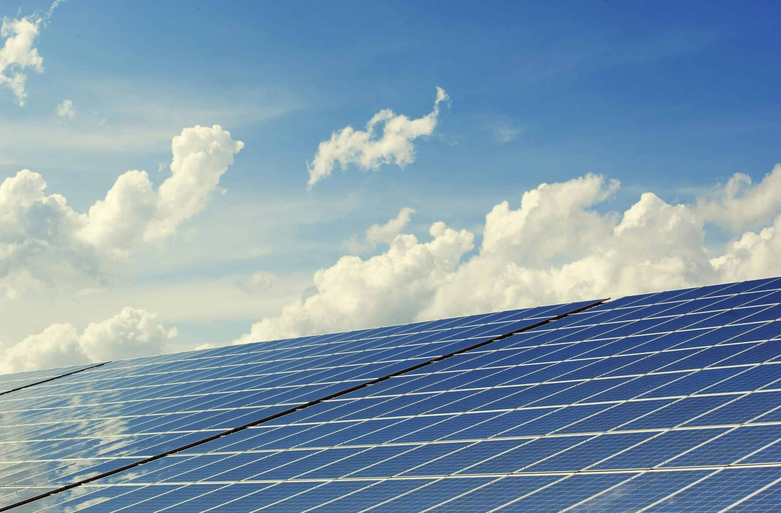 Balancing Land Use: Solar Installations vs Biodiversity